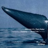 Norman H、Ranj Kaler、David Calo - Whales (David Calo Remix)
