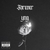 Big Wayne - Forever yng (Explicit)