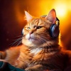 Comfort in Lofi、Cat Music、Harmonious Cats - Soft Purring Melodies