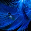 Acoustic Instrumental Vibes - Blue Velvet Nights