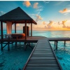 Blissful Relaxation Sounds、Jazzhop Full Study、Tibetan Singing Bowls for Relaxation - Relaxation Enhancer Lofi Groove