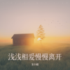 宋小娟 - 浅浅相爱慢慢离开