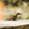 Sonidos De Aves - Grateful Beacon