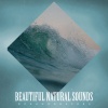 Oceanografers - Shore Unexplored