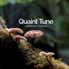 Rainforest Sounds - Suspended Notable