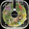 Ceø floress、Rip Cardy - Compañia (feat. RIP Cardy)