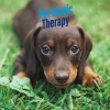 Pet Music Therapy、Pets Love Music - Puppy Steps