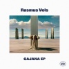Rasmus Vels - Winter Geese