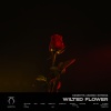 Kaskeiyp、ANANEV、KOYSINA - Wilted Flower