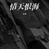 沐淳 - 情天恨海