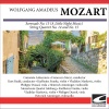 Camerata Labacensis - Mozart - Serenade No. 13 KV 525 in G major (A Little Night Music) - Allegro