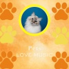 Pets Love Music、Cat Music、Piano Peace - Dreamy Whiskers