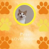 Pets Love Music、Cat Music - Dance Whiskers