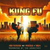Fes Taylor、Puzzle、Vi$a - Kung Fu (Explicit)