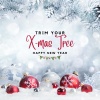 Chuck Berry - Merry Christmas Baby