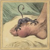 Jimmie D、Nicholas Craven、Tha God Fahim - The Gout (Explicit)