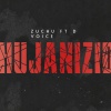 Zuchu、D Voice - HUJANIZIDI