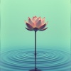 ingenIous artifAct - Find Inner Peace