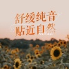大自然的声音 - [Tim Janis] Celtic Heart 凯尔特音乐 冥想放松