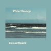 CeaseBeats - Tidal Sweep (2024)