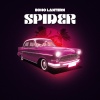 Echo Lantern - Spider