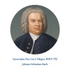 Copenhagen Orchestra - Invention No. 1 in C Major, BWV 772