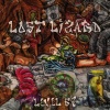 Level 67 - Lost Lizard
