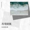 呆呆鱼没心柿 - 月光轻抚