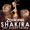 Shakira - Try Everything