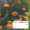 质变 - 你丢了一个满眼都是你的人