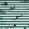 Calm Classroom - Belong Rewind