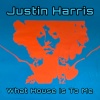 justin harris - Song for Shamus