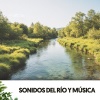 Solfeggio Frequencies 528Hz、Brain Timbre、Amazing Spa Music - Danza de las brasas