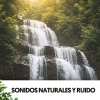 ASMR Rain Sounds、White Noise Spa、Relajacion - Aguacero celestial