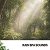 Rain Wonder、Water Science - Tranquil Echoes