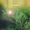 Nature Sounds - Free Your Mind