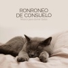 Música para dormir Gatos - Head Noisy