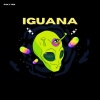Piky Rd - Iguana (Explicit)