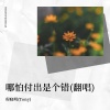 程晓明(Tony) - 哪怕付出是个错 (Live)