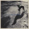 Littleband、Jon Notar、The Field Tapes、Kyle McEvoy - i'll tell you what