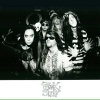 Freakshow - The Wild