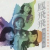 凤飞飞 - 何日君再来