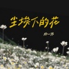 杨一琪 - 尘埃下的花