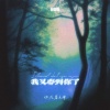 你在暮色中 - 我又梦到你了 (宿命版)