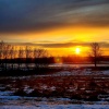 Acoustic Instrumental Vibes - Fading Winter