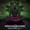 Miracle of Sound - Show Your Style - 2024 Remaster (2024 Remaster)