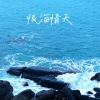 zy - 恨海情天