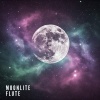 Flute Music Ensemble、Sleepy Music Zone、Flute Music Group - Soft Nocturne