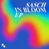 Sasch - In Bloom