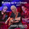 Harry Payuta - Waking up in a Dream, Part 1